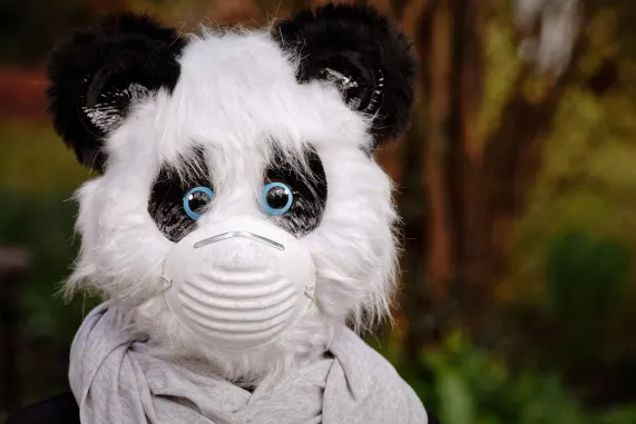 Casino Eight Storm Podrška